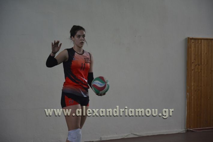 volley _1ogel-kassandra070